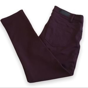 Calvin Klein Ponte Pants 